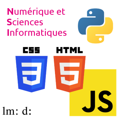 Logo NSI - Lycée Diderot